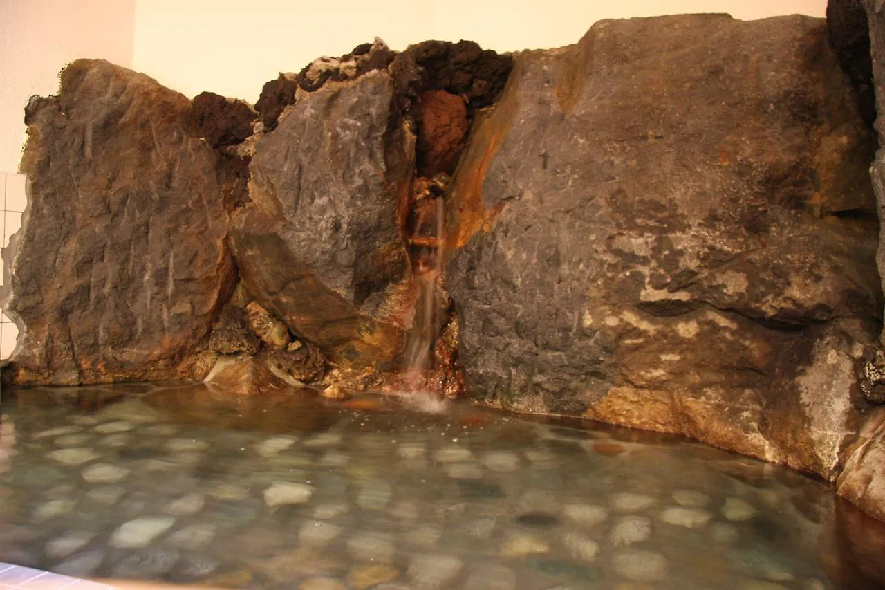 Forest Gora Onsen Hakone Ryokan